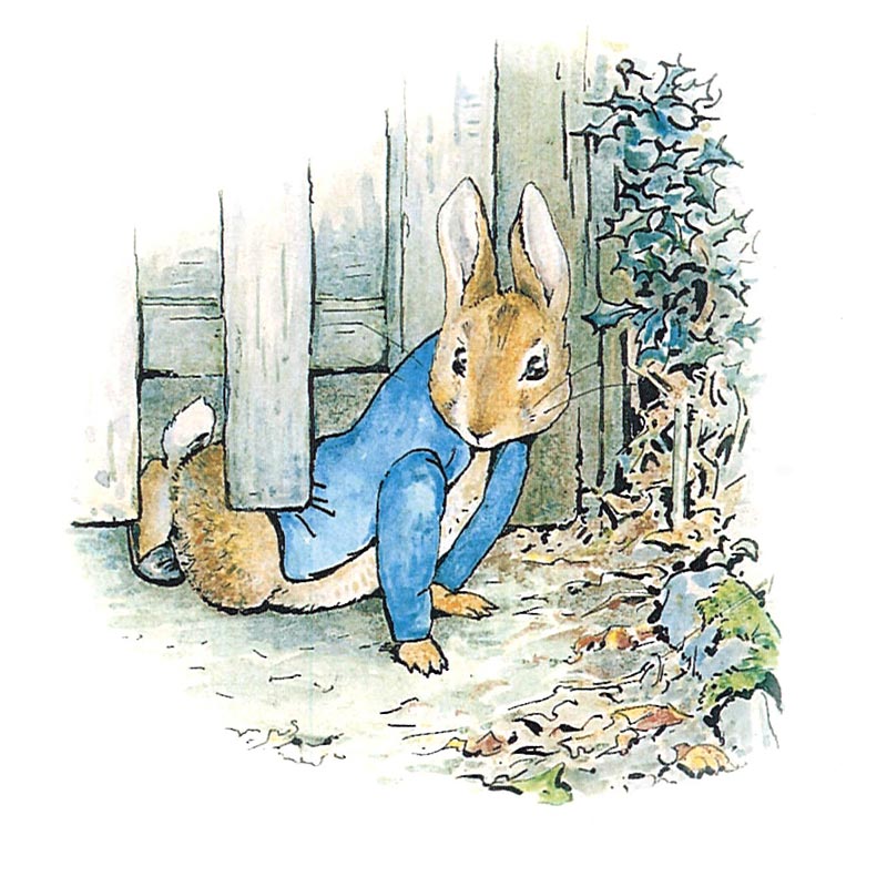 Beatrix Potter - Braintrust Inc.