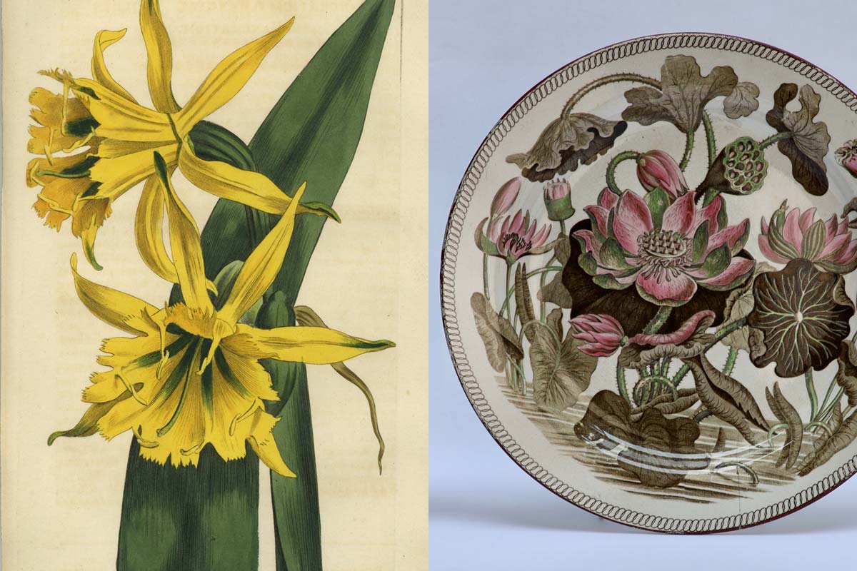 Botanical Art and Wedgwood - Braintrust Inc.