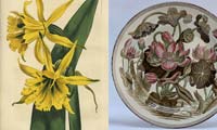 Botanical Art and the Development of Delicious Food  - Brain Trust Inc.