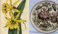 Botanical Art and Wedgwood  - Brain Trust Inc.